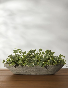 Cast Stone Tabletop Planters by Campania Internationaloutdoor garden decorative ornaments