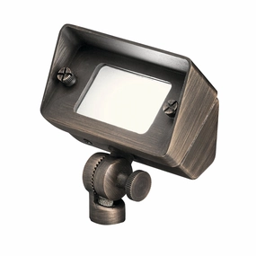 Centennial One Light Flood/Wall Wash Centennial BrassColor changing landscape spotlights
