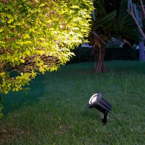CGC DAISY Black Metal Spotlight With Ground SpikeMotion activated driveway security lights