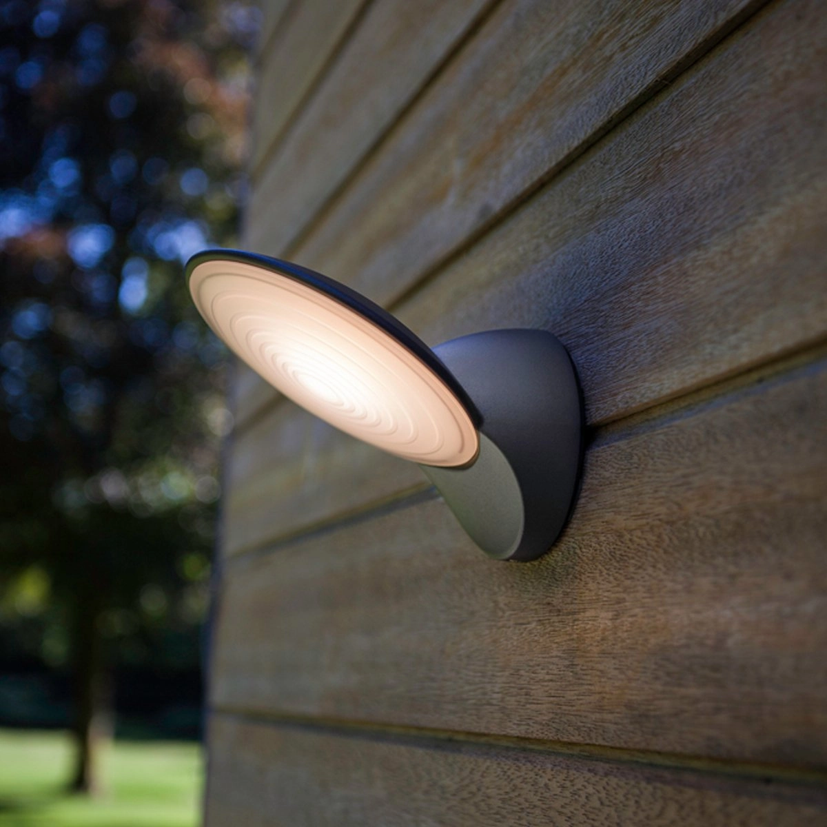 CGC KIARA Dark Grey Disc Shaped LED Wall LightMotion activated driveway security lights