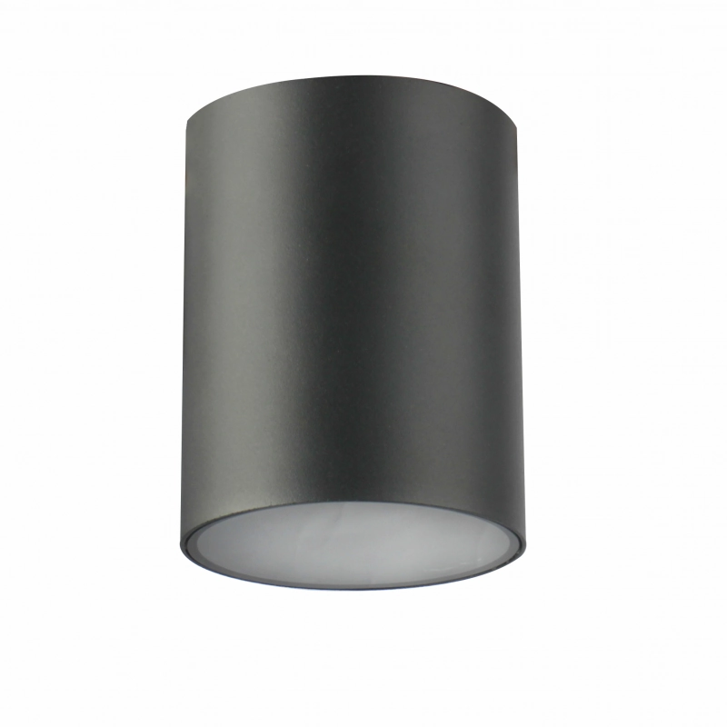 CGC LEN Round Dark Grey Anthracite Outdoor Surface Mount Downlight