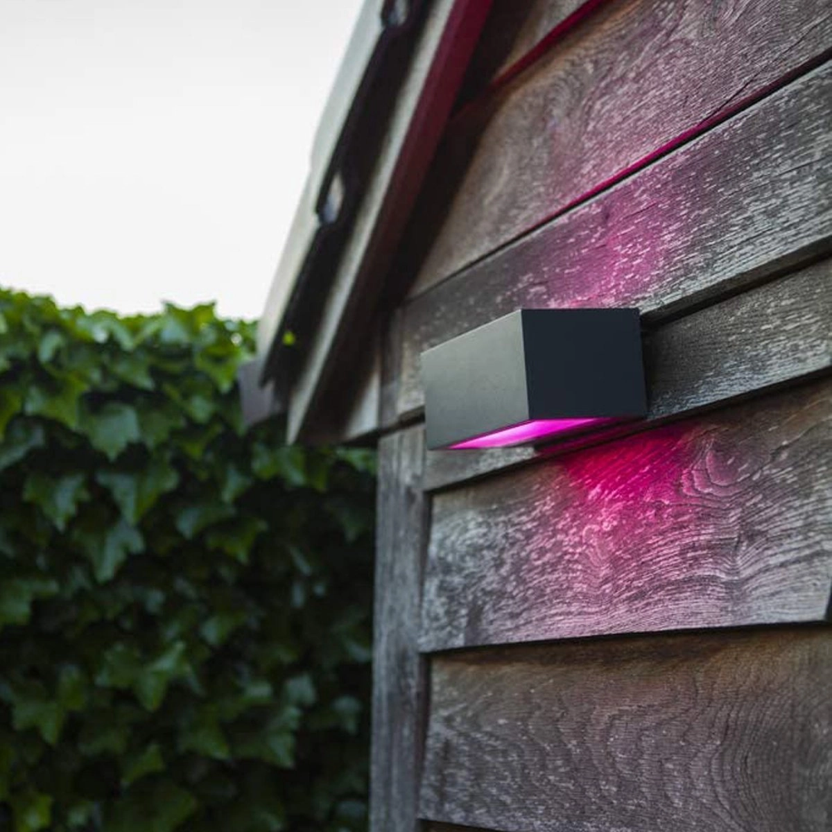 CGC LOTTIE Dark Grey RGB LED Wall Light