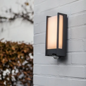 CGC MARLA Dark Grey Rectangular Motion Sensor LED Wall LightOutdoor wall sconces with motion sensor