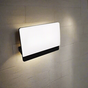 CGC PARRY 30W LED Floodlight Black Body with Full Front White Opal Diffuser 2700lm 4000kOutdoor wall sconces with motion sensor