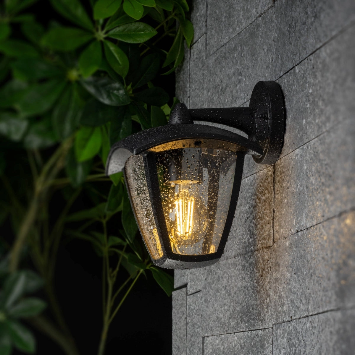 CGC VIOLET Down Black Outdoor Wall Lantern Light