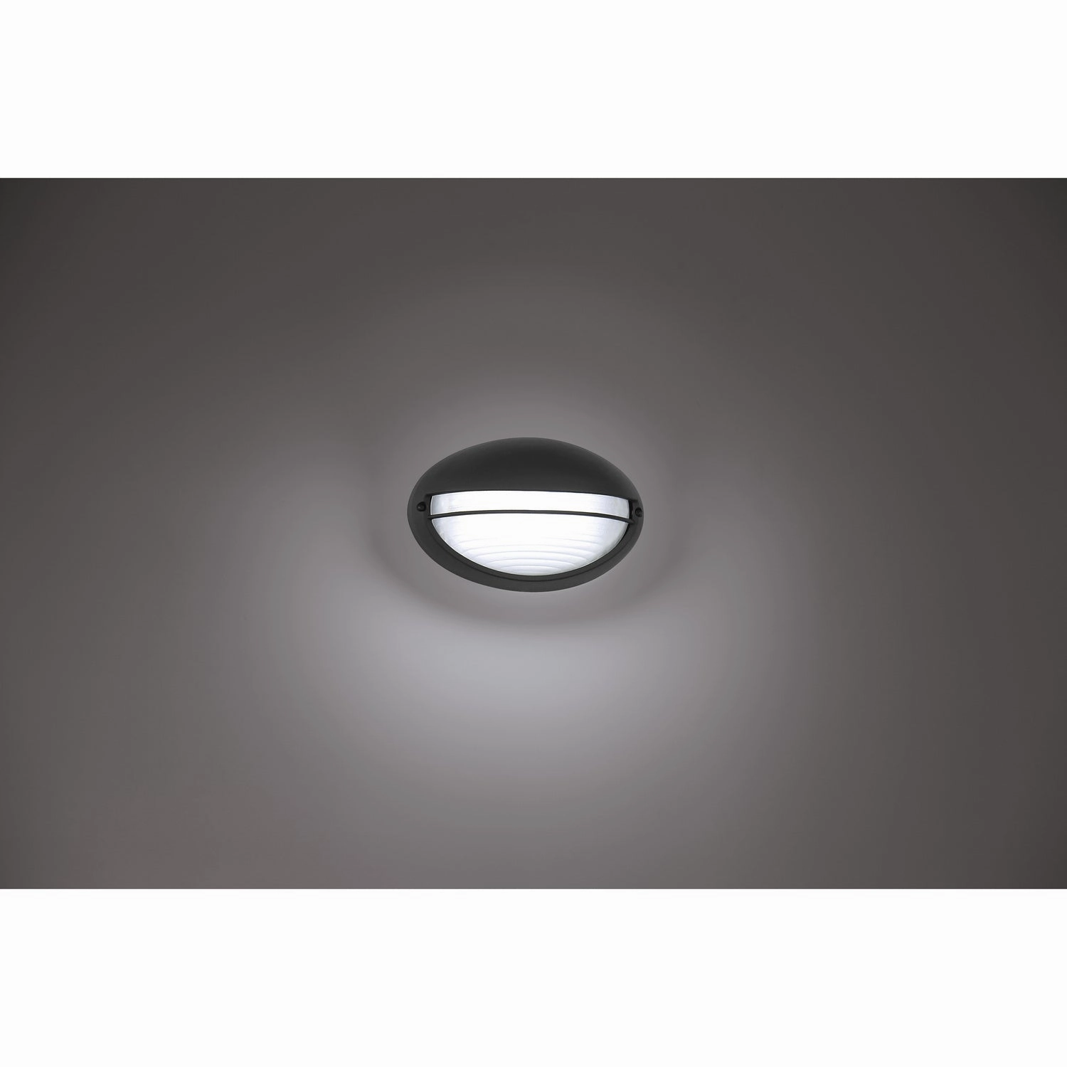 Clifton Oval LED Bulkhead Black