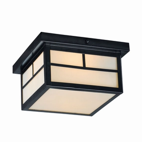 Coldwater Outdoor Ceiling LightWeatherproof outdoor lighting
