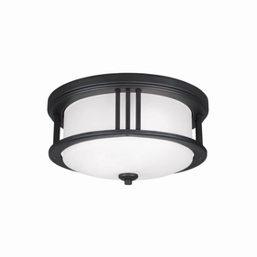 Crowell 2-Light Outdoor Ceiling Light (with Bulbs)Weatherproof outdoor lighting