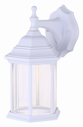 Dane LED Outdoor Down Light WhiteOutdoor wall sconces with motion sensor