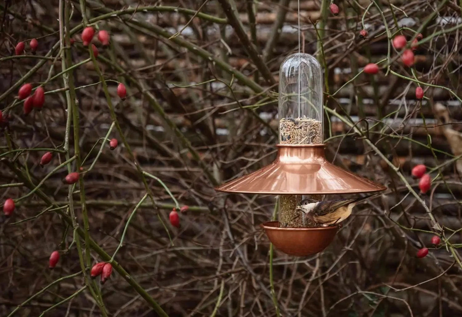 De Luxe Bird Feeder
