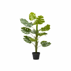 DELICIOUS MONSTER PLANT IN POT - 104cmoutdoor patio furniture set