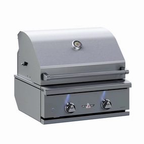 Delta Heat 26-Inch 2-Burner Built-In Gas Grill DHBQ26G-D stainless steel BBQ grill with side table