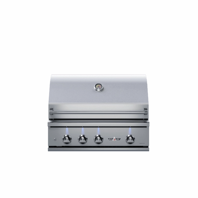 Delta Heat 32-Inch Built-In Gas Grill with Rotisserie DHBQ32R-D