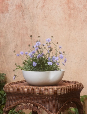 Dempsy Low Planter by Sarah Sherman Samueloutdoor garden decorative ornaments