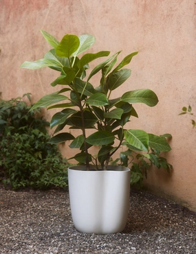 Dempsy Planter by Sarah Sherman Samuel mini herb garden planters for kitchen
