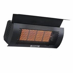 Dimplex DGR Series 25" Outdoor Wall Mounted Natural Gas Infrared Heater DGR32WNGweatherproof outdoor heater