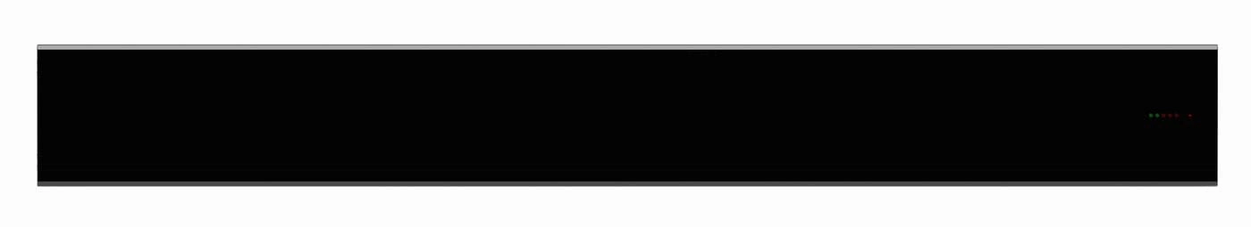 Dimplex DIR Series 51" Indoor/Outdoor Wall-Mounted Electric Infrared Heater DIR30A10GR