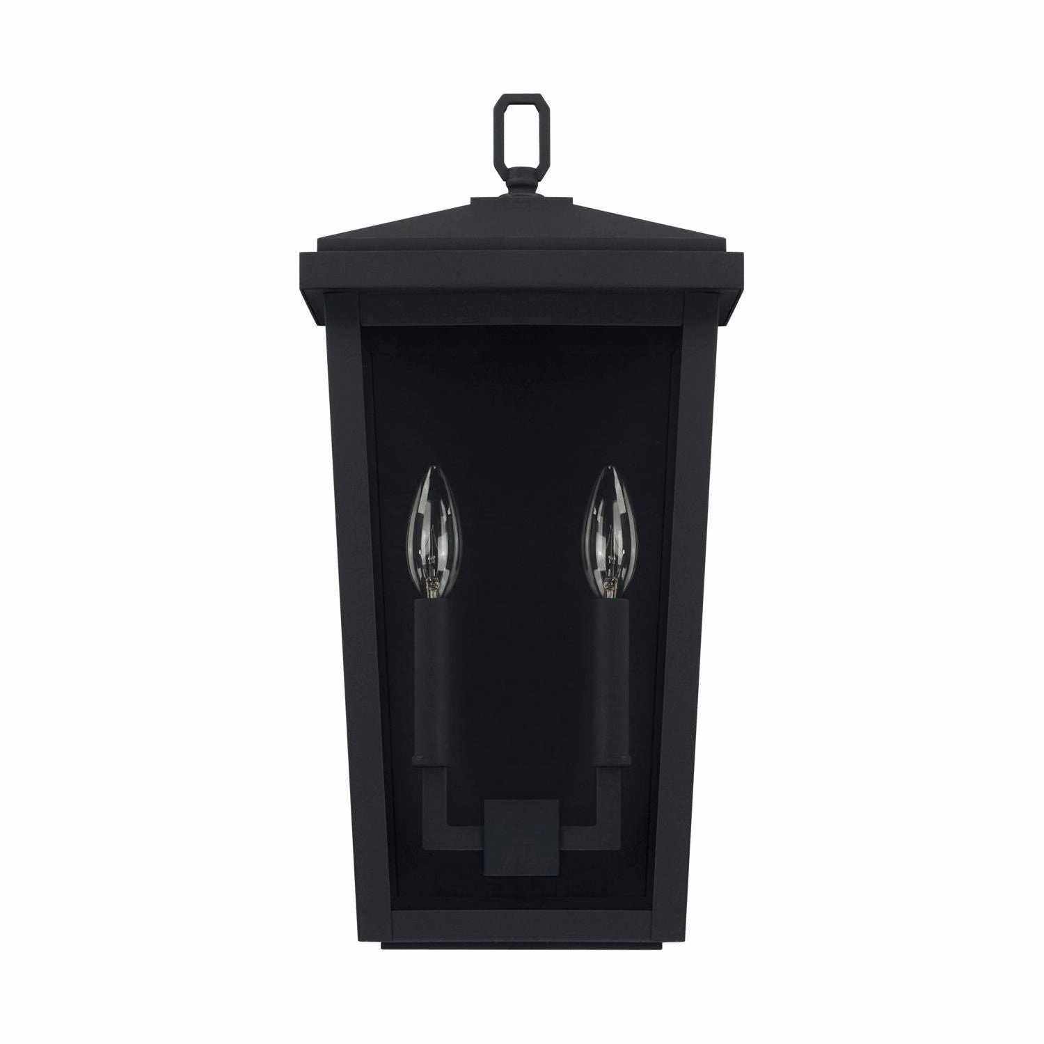 Donnelly 2-Light Outdoor Wall LanternWeatherproof outdoor lighting