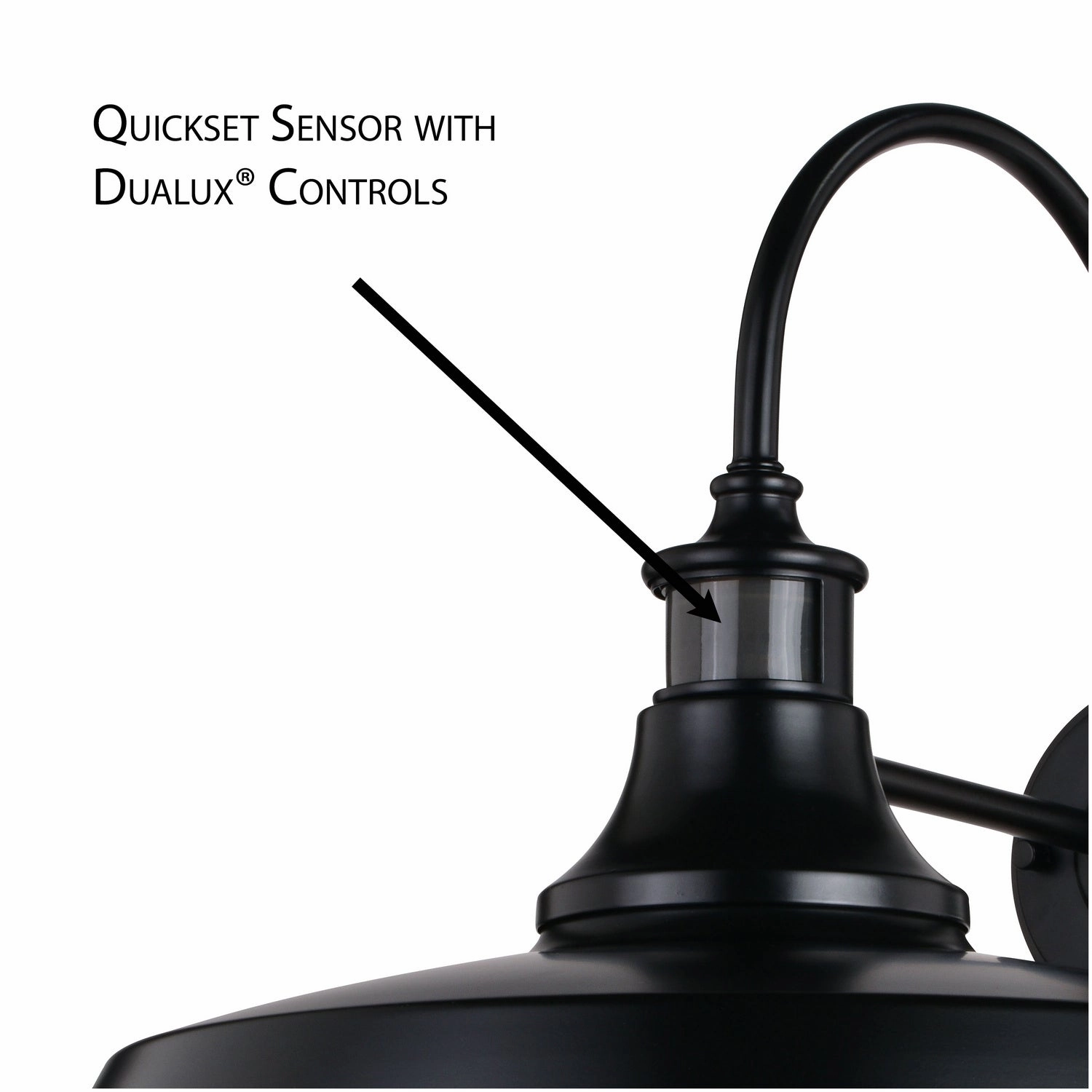 Dorado One Light Outdoor Motion Sensor Wall Mount Dark Bronze and Light Gold