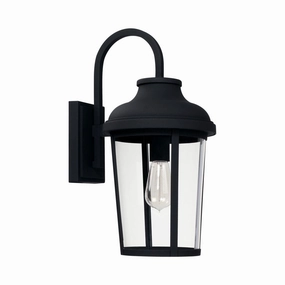 Dunbar 1-Light Outdoor Wall LanternWeatherproof outdoor lighting