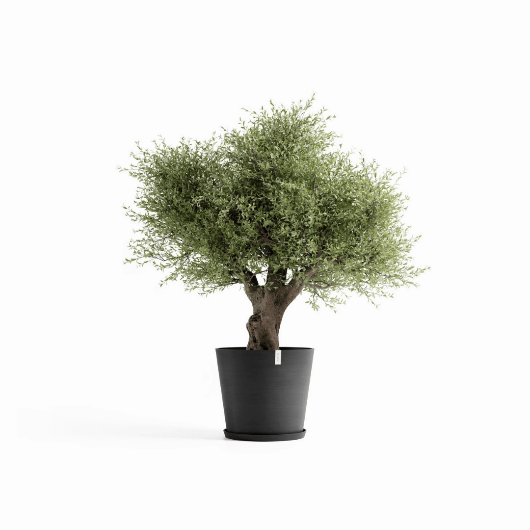 Ecopots Amsterdam Dark Grey