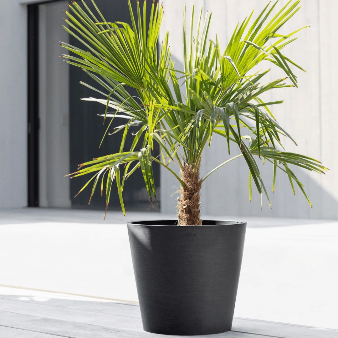 Ecopots Amsterdam Dark Grey hanging garden planters for small spaces