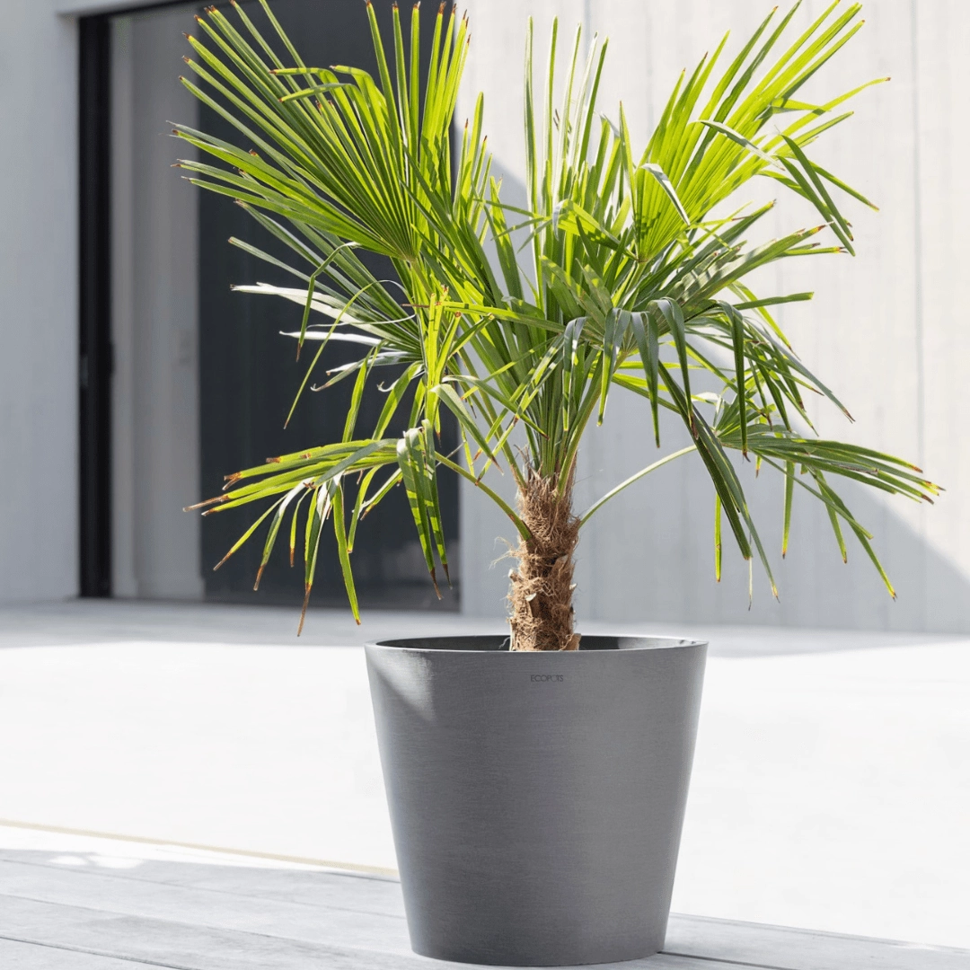 Ecopots Amsterdam Grey hanging garden planters for small spaces