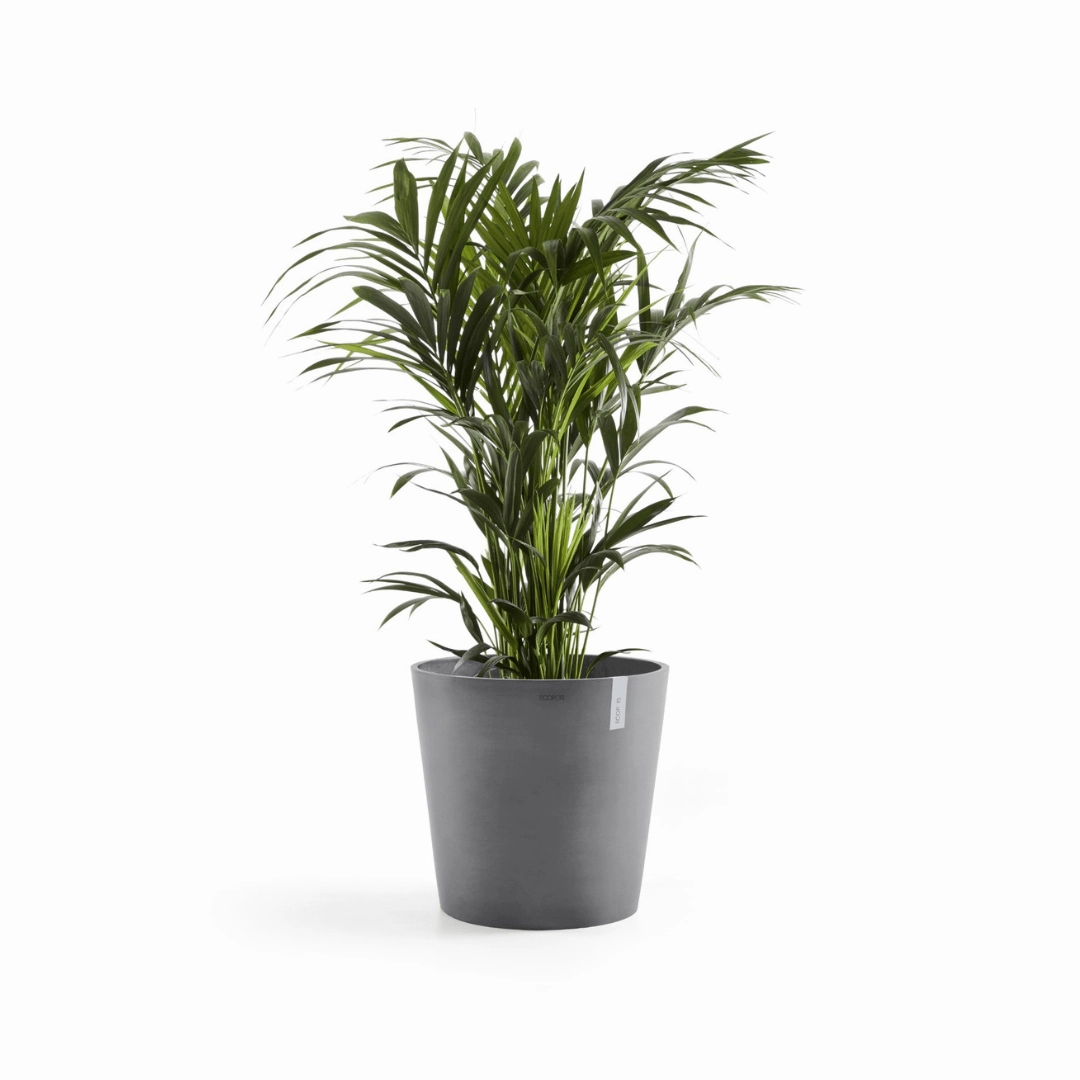 Ecopots Amsterdam Grey
