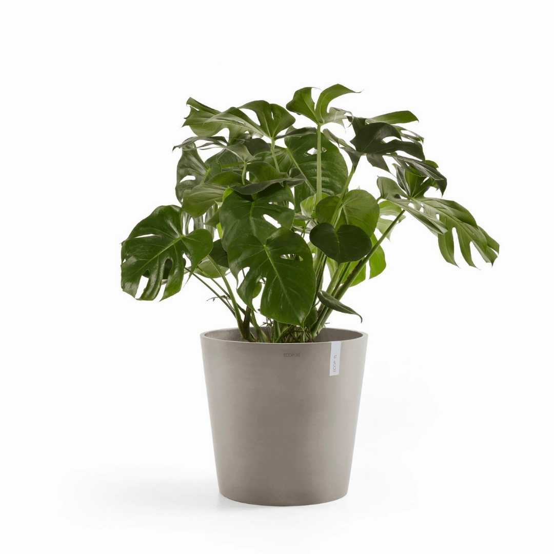 Ecopots Amsterdam Taupe