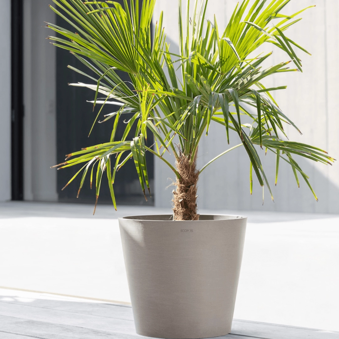 Ecopots Amsterdam Taupe hanging garden planters for small spaces