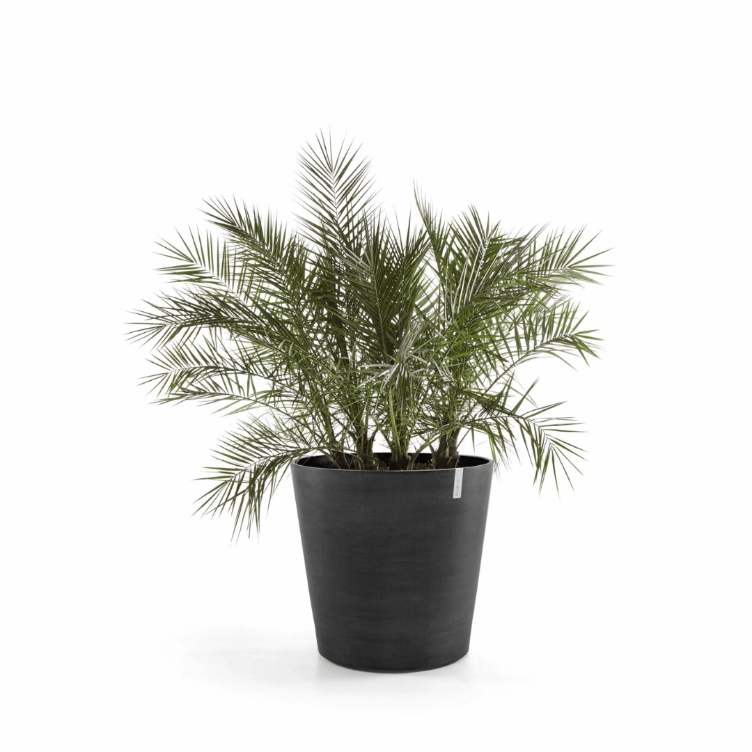 Ecopots Amsterdam Wheels Dark Grey