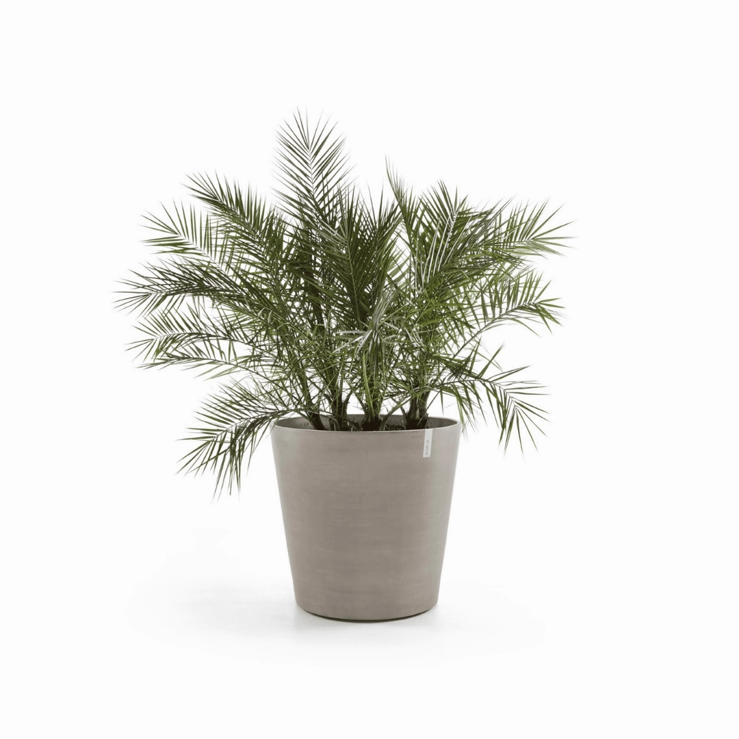 Ecopots Amsterdam Wheels Taupe