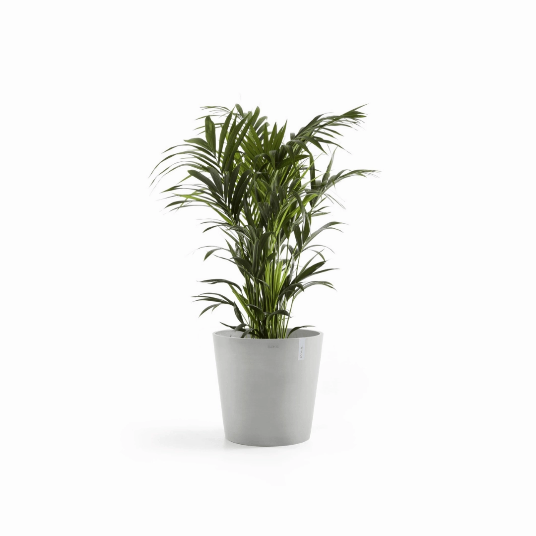 Ecopots Amsterdam White Grey