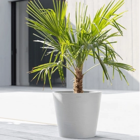 Ecopots Amsterdam White Grey hanging garden planters for small spaces