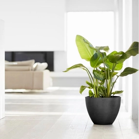 Ecopots Antwerp Dark Grey hanging garden planters for small spaces