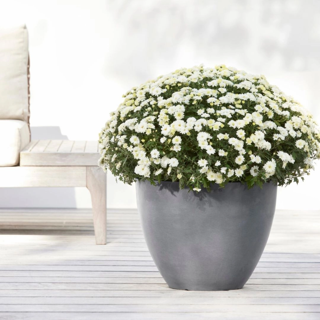 Ecopots Antwerp Grey