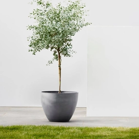 Ecopots Antwerp Grey hanging garden planters for small spaces