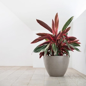 Ecopots Antwerp Taupe hanging garden planters for small spaces