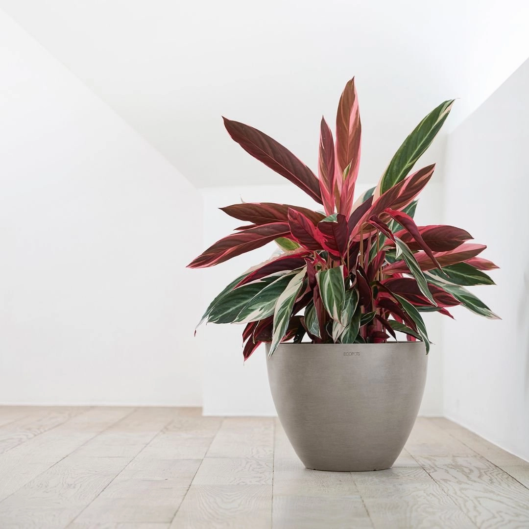 Ecopots Antwerp Taupe hanging garden planters for small spaces