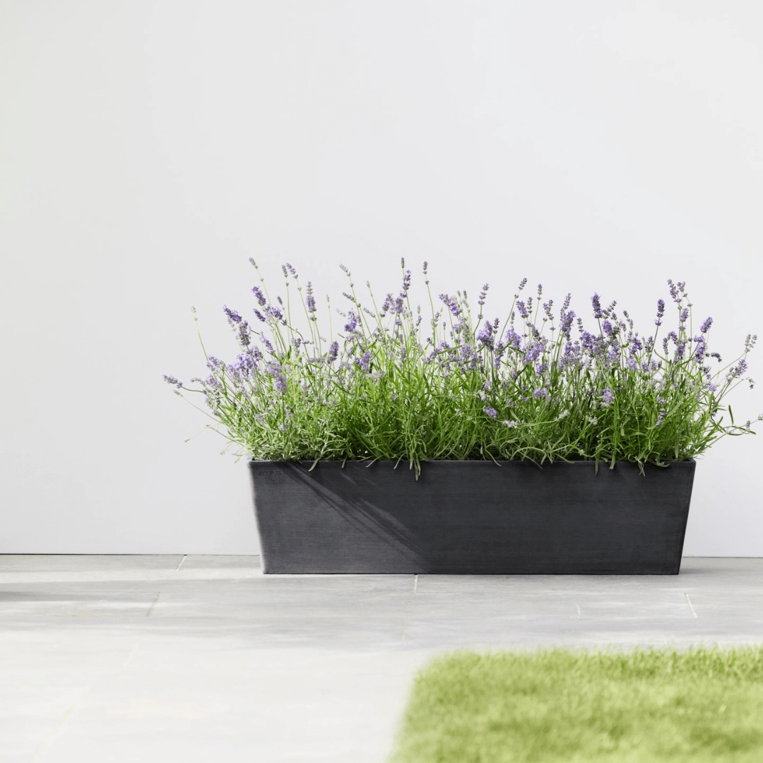 Ecopots Bruges Dark Grey hanging garden planters for small spaces