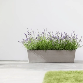 Ecopots Bruges Taupe hanging garden planters for small spaces