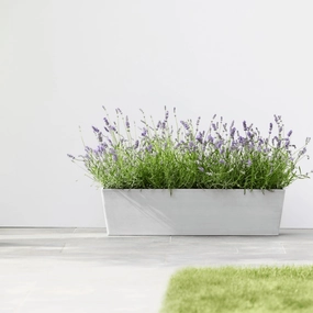 Ecopots Bruges White Grey hanging garden planters for small spaces