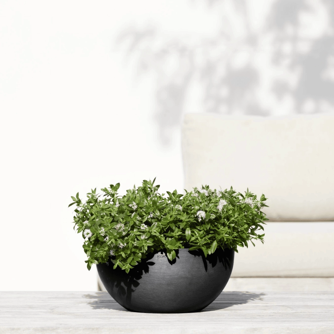 Ecopots Brussels 35 Dark Grey hanging garden planters for small spaces