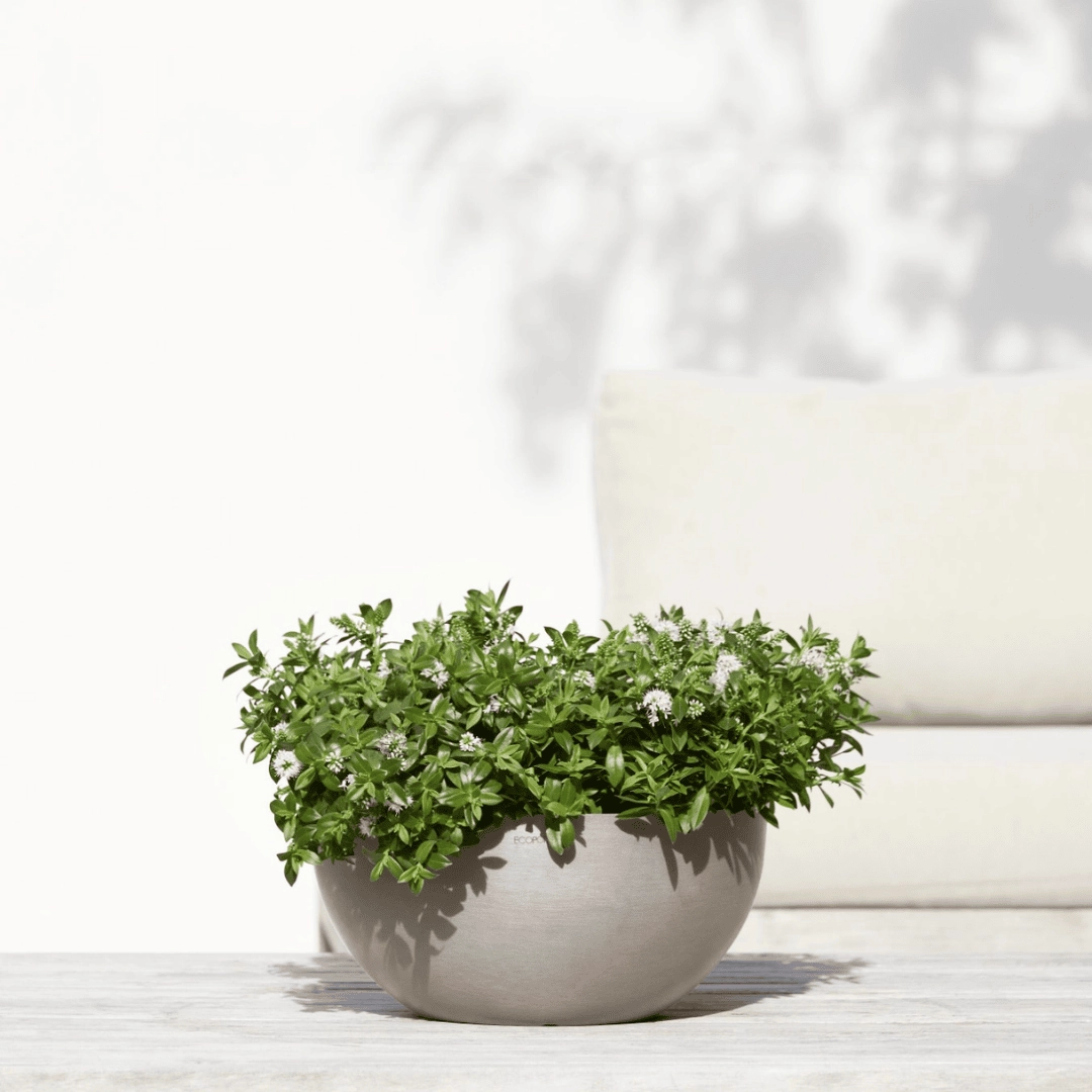 Ecopots Brussels 35 Taupe hanging garden planters for small spaces