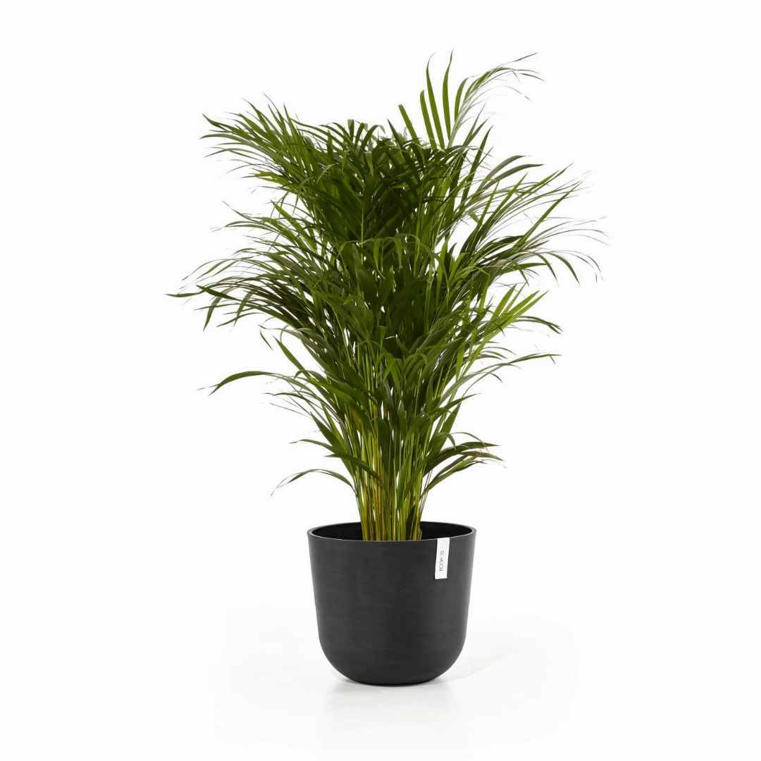 Ecopots Oslo Dark Grey