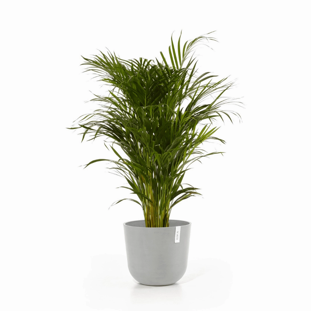Ecopots Oslo White Grey