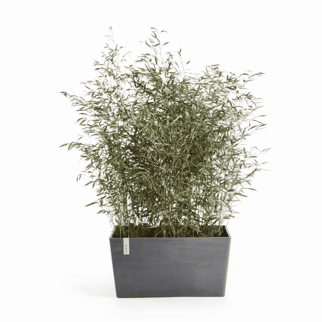 Ecopots Paris Grey 80cm hanging garden planters for small spaces