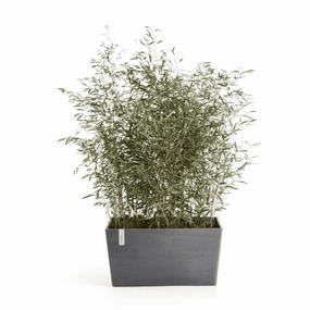 Ecopots Paris Grey 80cm hanging garden planters for small spaces