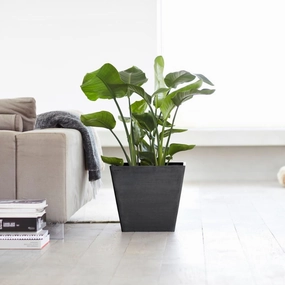 Ecopots Rotterdam Dark Grey hanging garden planters for small spaces