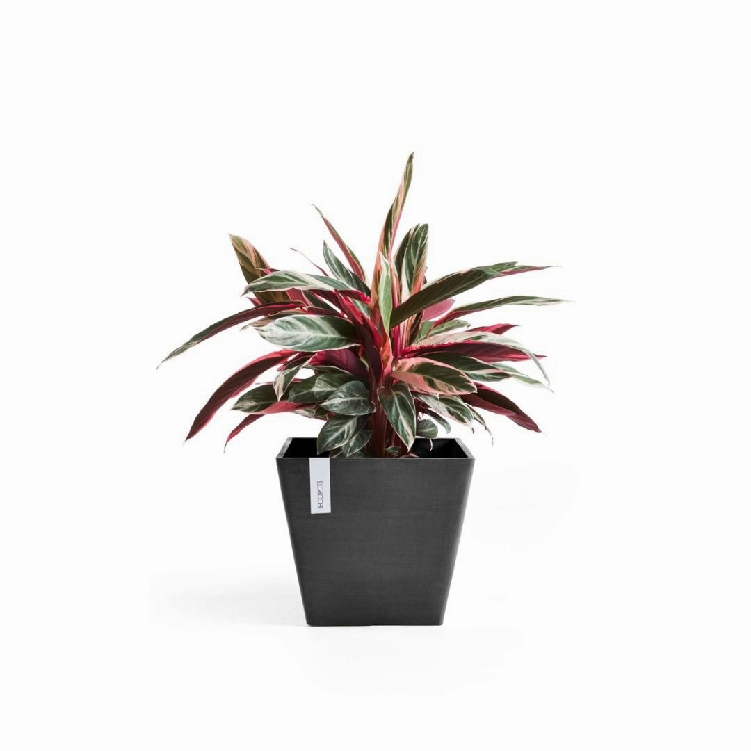 Ecopots Rotterdam Dark Grey